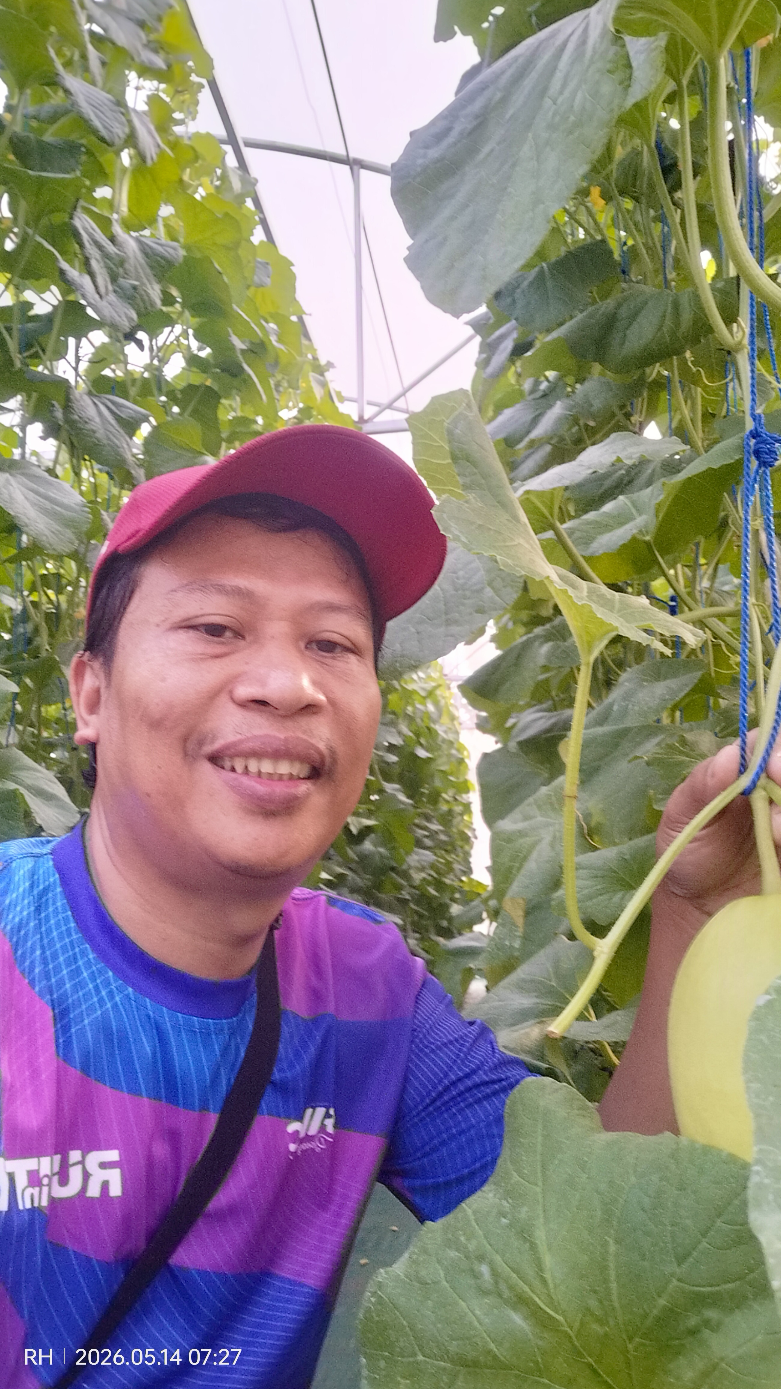 [Kebun Marsan]